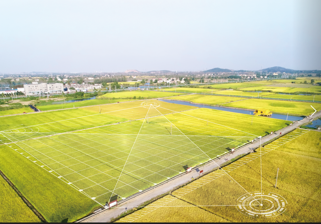 福鹿会·F6(中国)最新官方网站