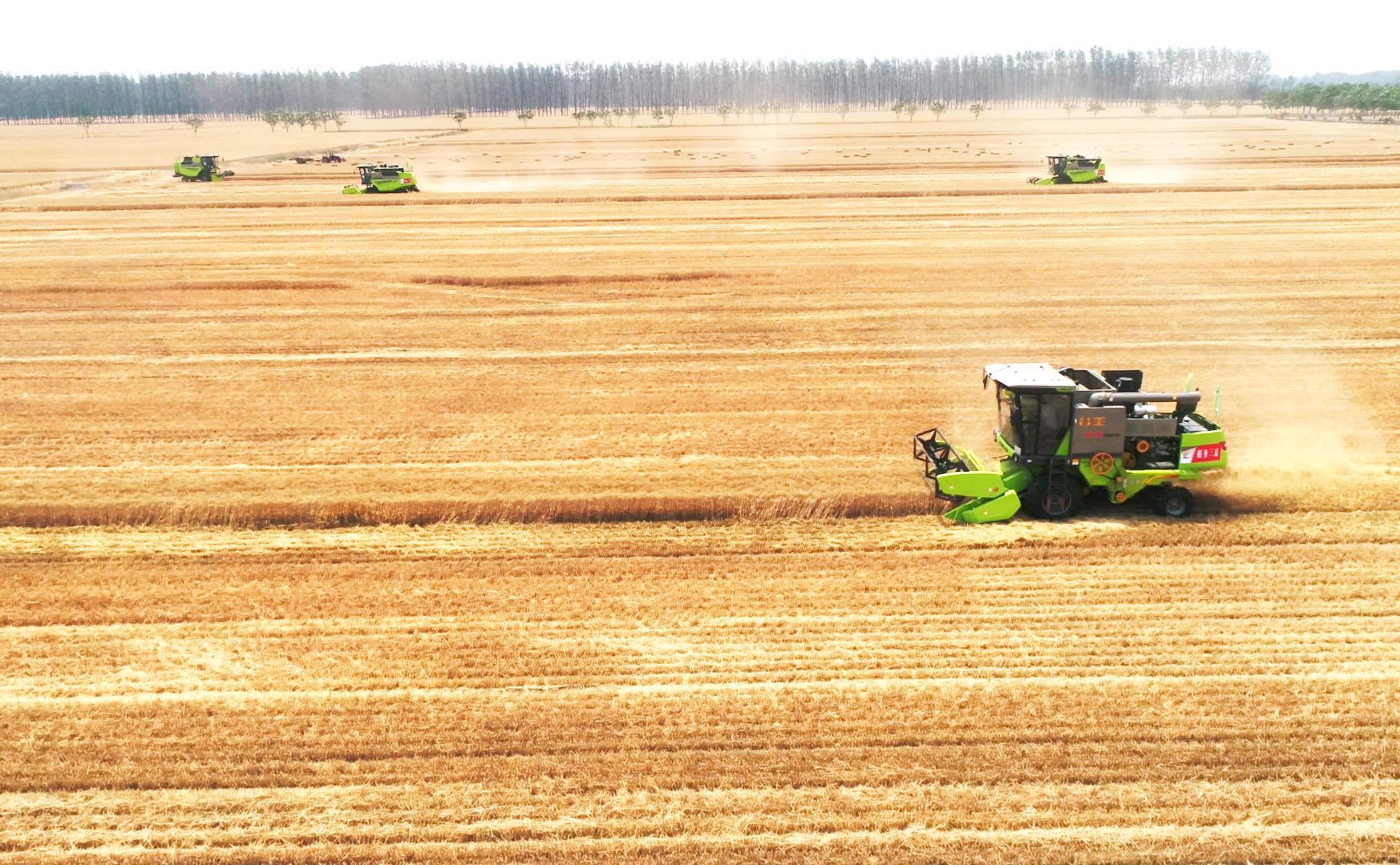 福鹿会·F6(中国)最新官方网站